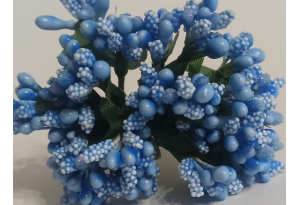 Гілочка, тичинки літні, світло-сині, в пучку 12 гілочок