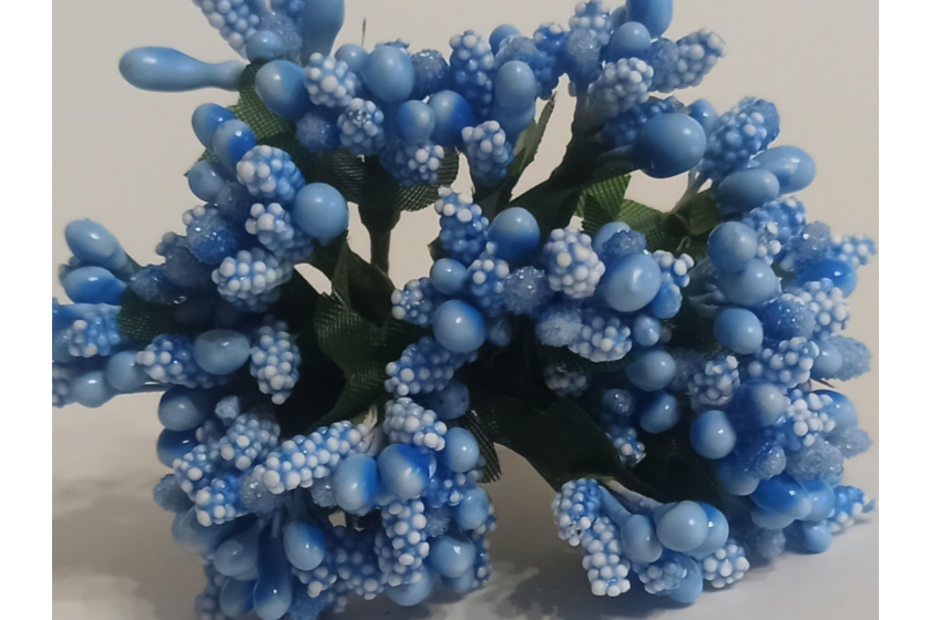 Гілочка, тичинки літні, світло-сині, в пучку 12 гілочок