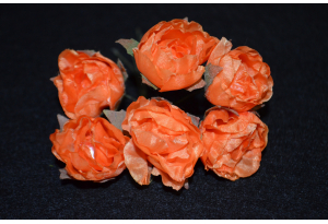 Цветы Пионы, 2-3 см, оранжевые, в пучке 6 цветков