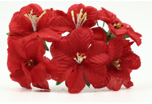 Квіти Фіалка, 4 см, червона, в пучку 6 квіточок