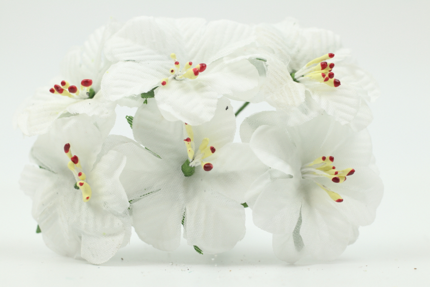 Квіти Фіалка, 4 см, біла, в пучку 6 квіточок