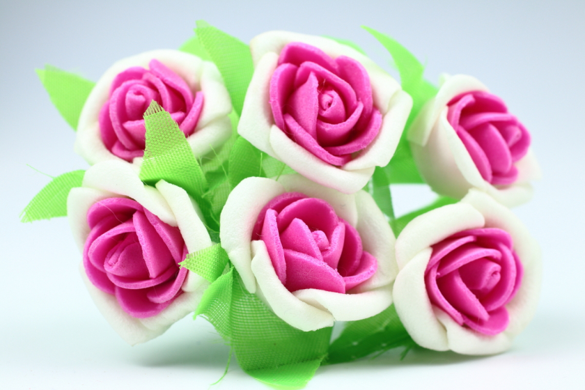 Квіти Троянда двокольорова 2.5-3 см, біло-малинова, в пучку 6 квіточок