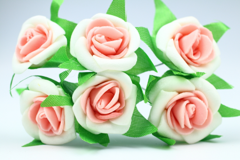Квіти Троянда двокольорова 2.5-3 см, біло-персикова, в пучку 6 квіточок