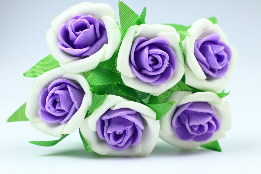 Квіти Троянда двокольорова 2.5-3 см, біло-фіолетова, в пучку 6 квіточок