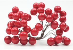 Калина, 10 мм, пучок 40 шт, червона