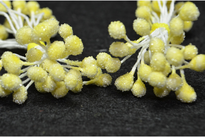 Тичинки для квітів великі цукрові, 5 мм, довжина нитки 6 см, в пучку 50 тичинок, світло-жовті