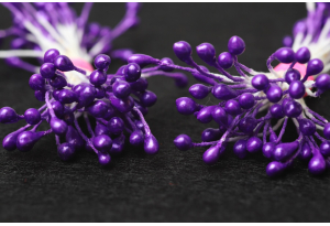 Тичинки для квітів маленькі глянцеві, 3 мм, довжина нитки 6 см, в пучку 100 тичинок, фіолетові