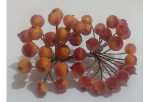 Калина цукрова, 12 мм, пучок 40 шт, помаранчево-червона